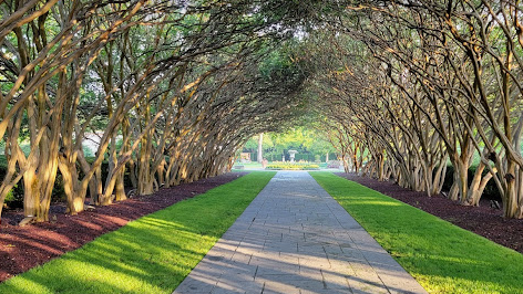 Dallas Emerges as the Premier Spot for Bachelorette Getaways: A Comprehensive Guide