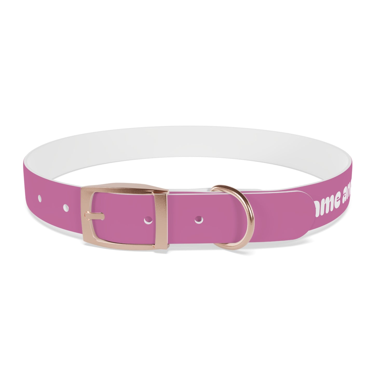 Chic Dog Collar for Stylish Pets, Customizable Pet Accessory, Gift for Dog Lovers, Durable Pink Collar, Fun Pet Fashion