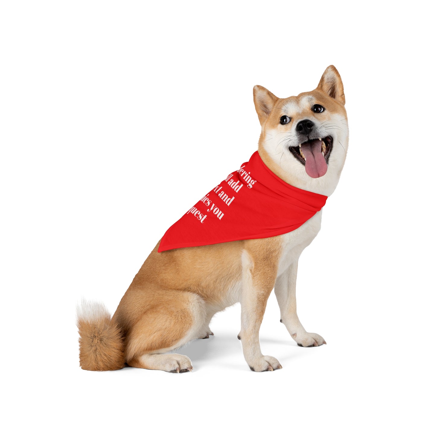 Personalized Pet Bandana for Dogs, Custom Pet Accessory, Cute Gift for Dog Lovers, Customizable Pet Apparel, Stylish Canine Fashion