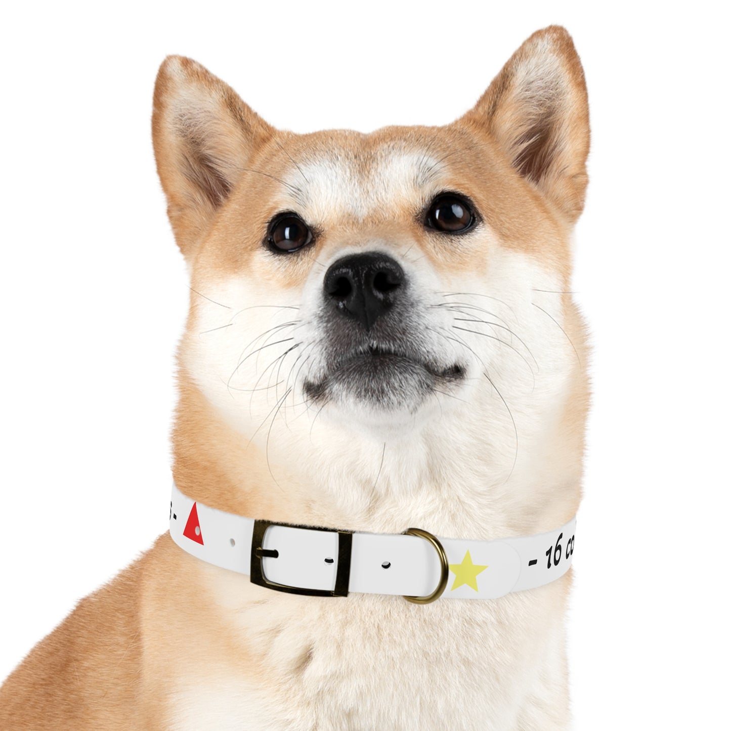 Customizable Dog Collar
