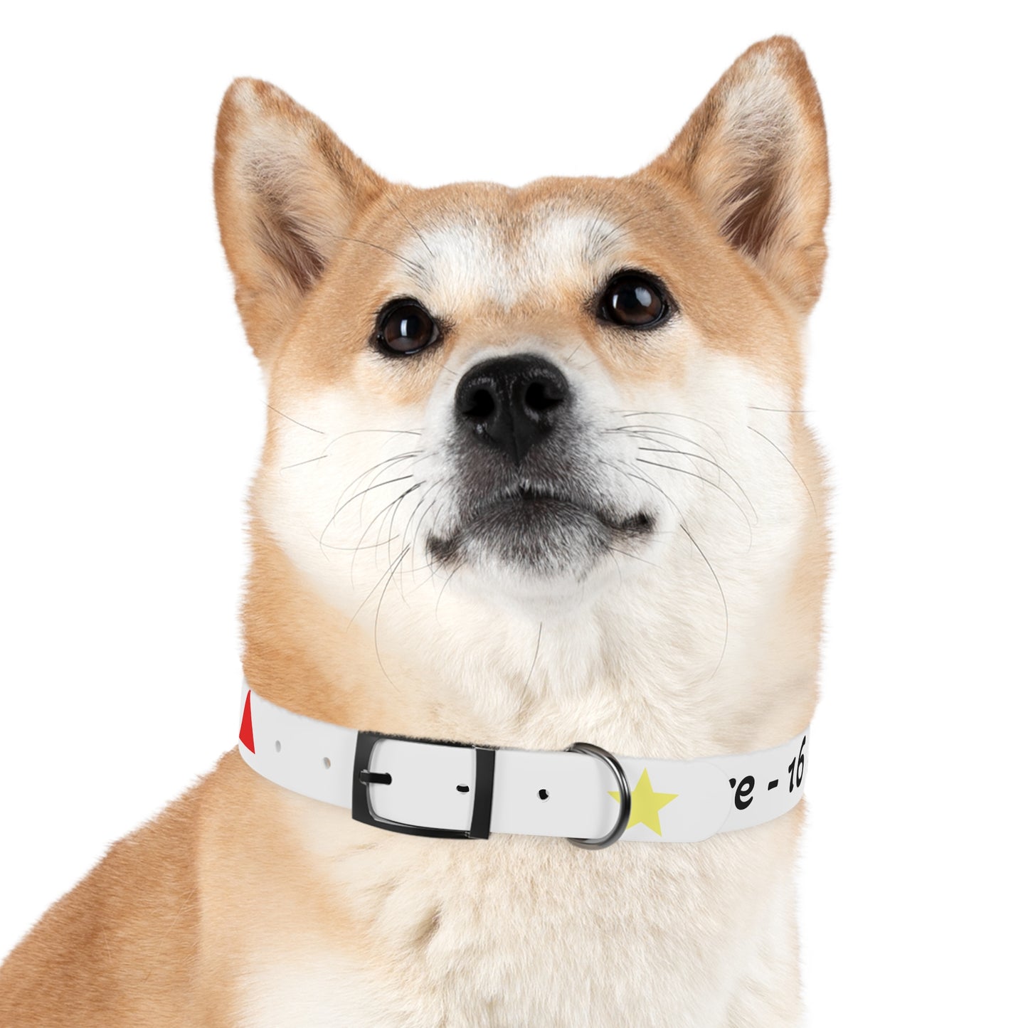Customizable Dog Collar