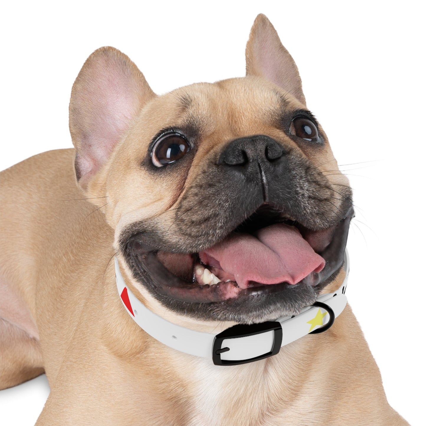 Customizable Dog Collar