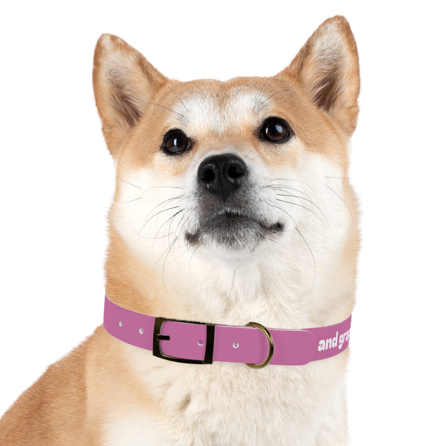 Chic Dog Collar for Stylish Pets, Customizable Pet Accessory, Gift for Dog Lovers, Durable Pink Collar, Fun Pet Fashion