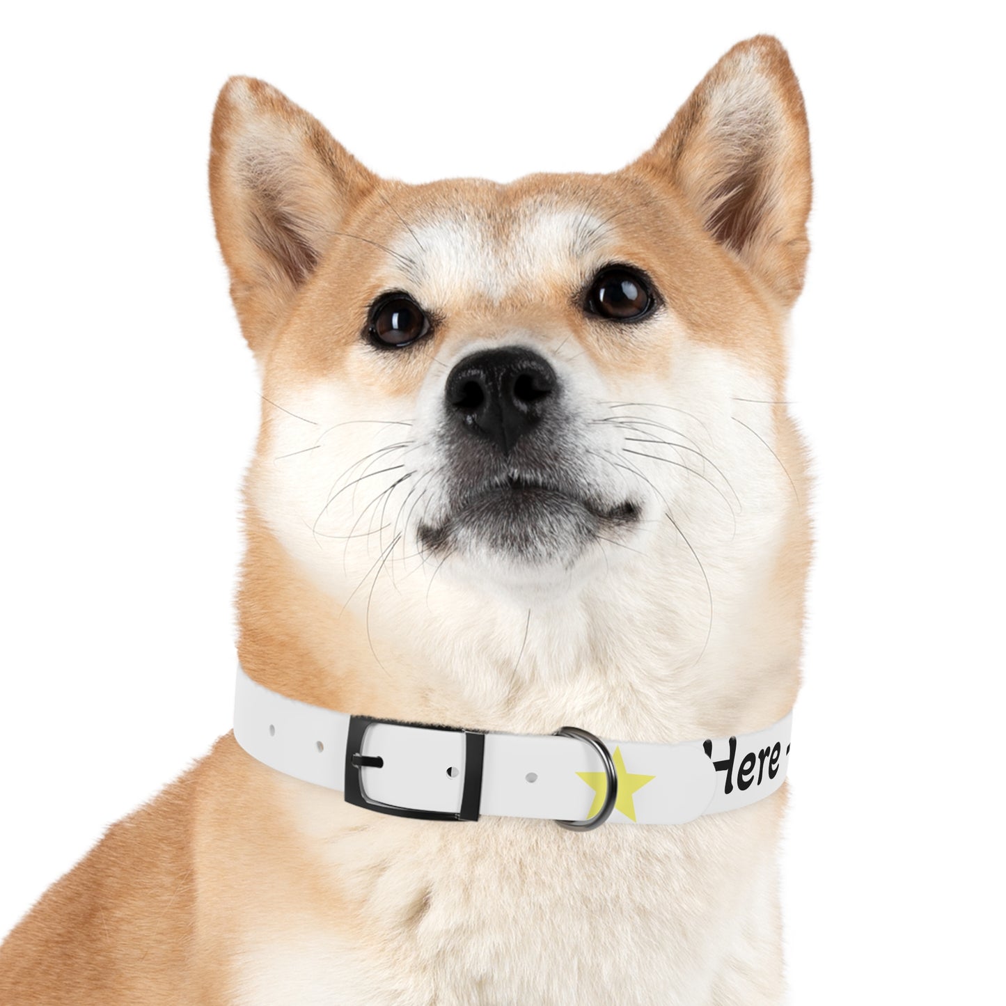 Customizable Dog Collar