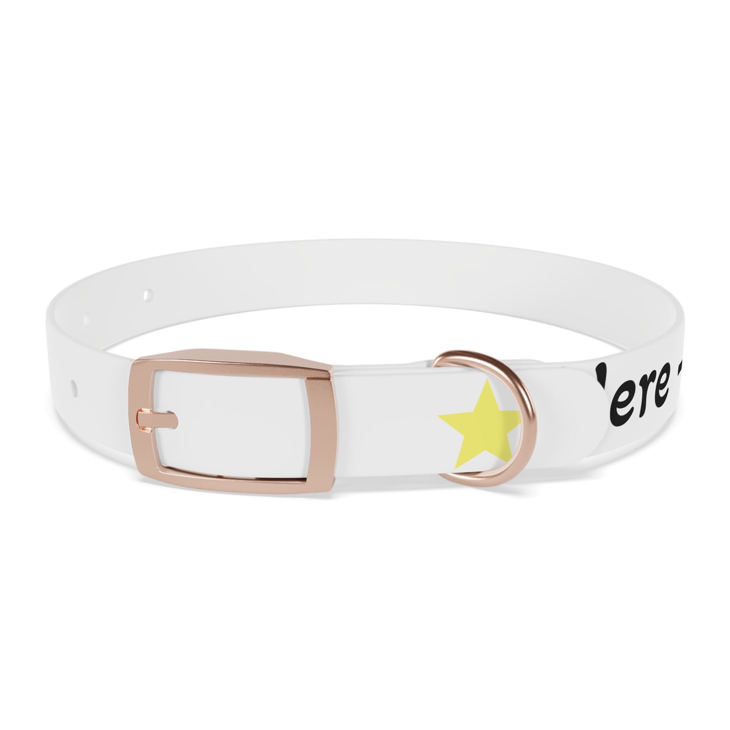Customizable Dog Collar