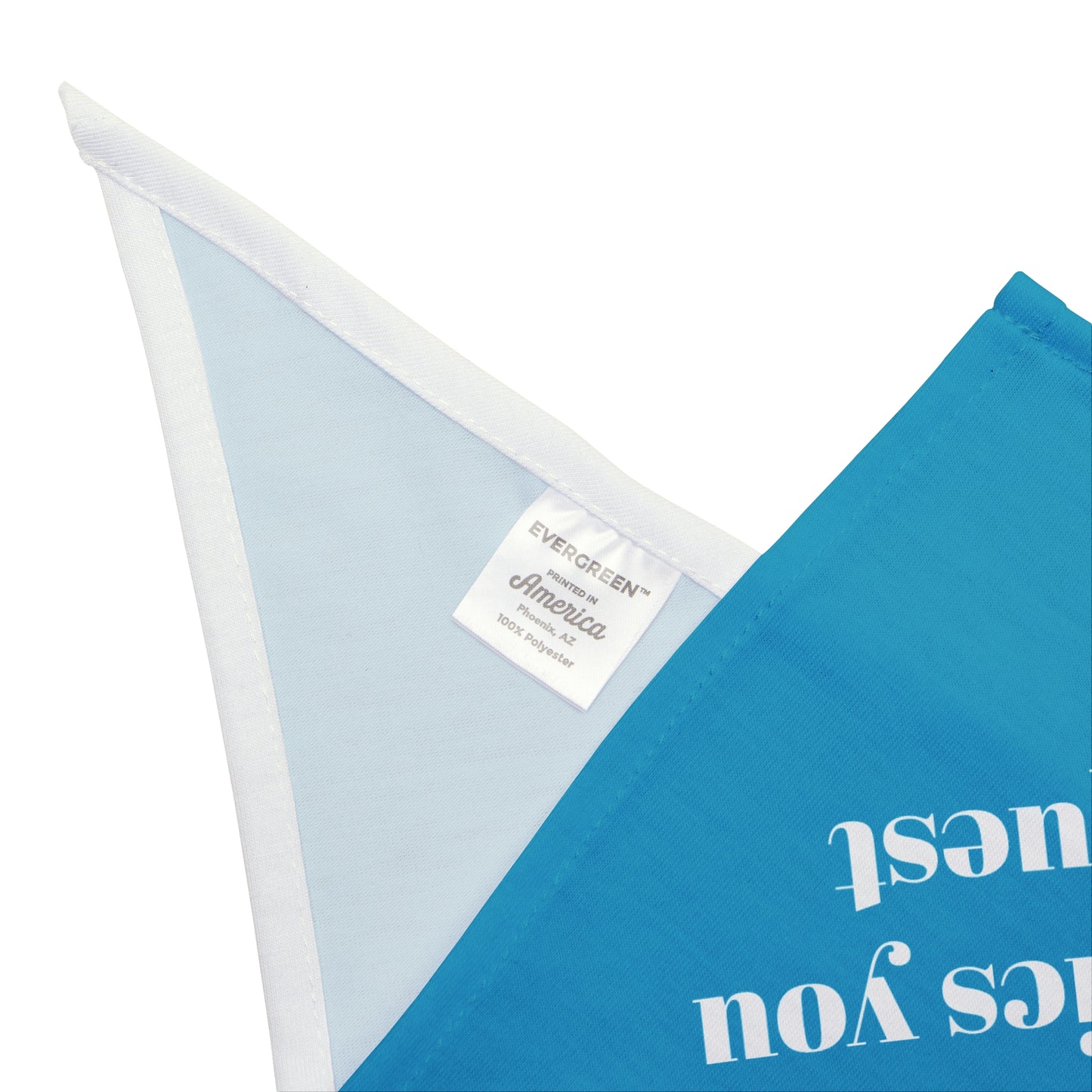 Personalized Pet Bandana for Dogs, Custom Pet Accessory, Cute Gift for Dog Lovers, Customizable Pet Apparel, Stylish Canine Fashion - Tiff Blue Turquois