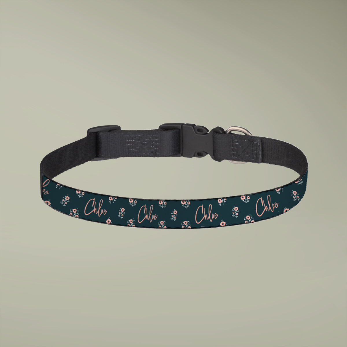 Personalized / Customized Clip-on Pet Collar