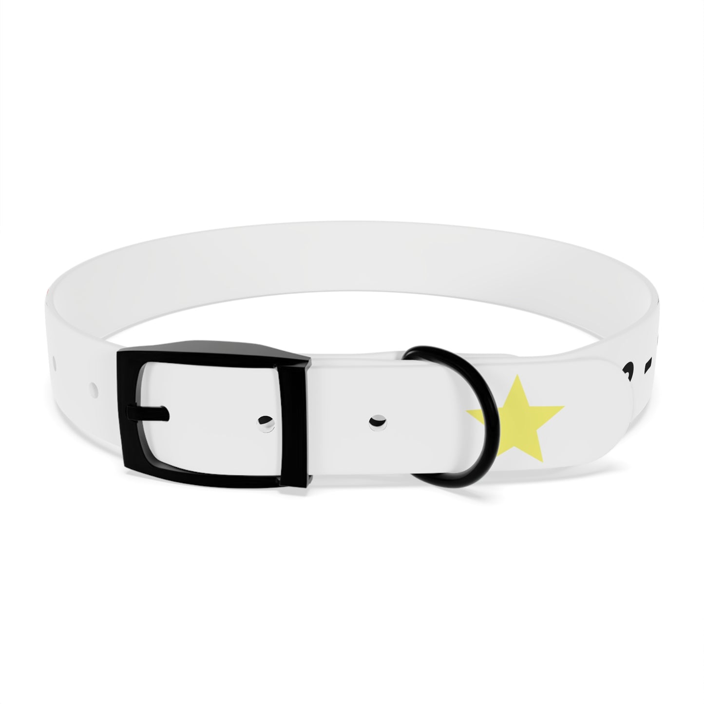 Customizable Dog Collar