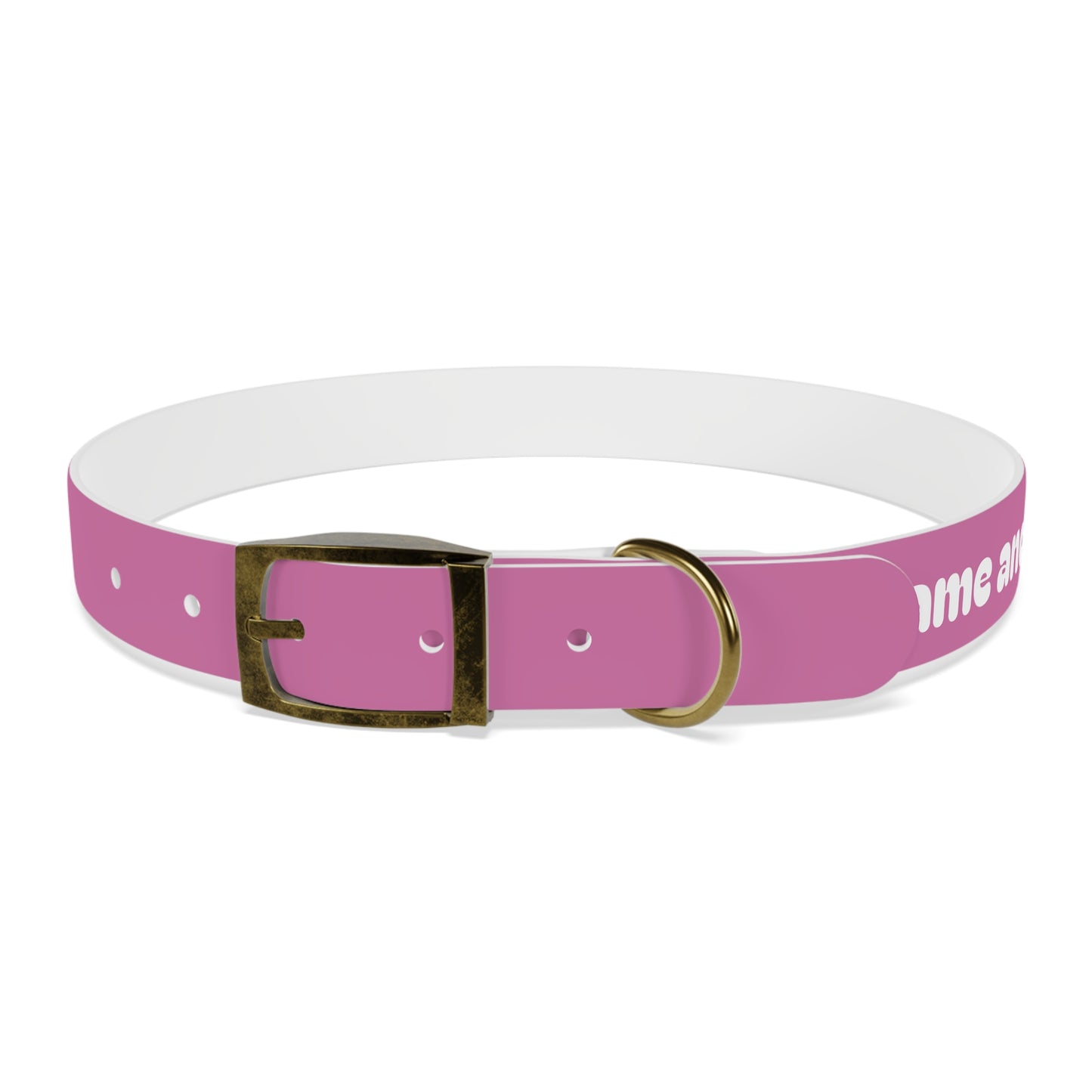 Chic Dog Collar for Stylish Pets, Customizable Pet Accessory, Gift for Dog Lovers, Durable Pink Collar, Fun Pet Fashion