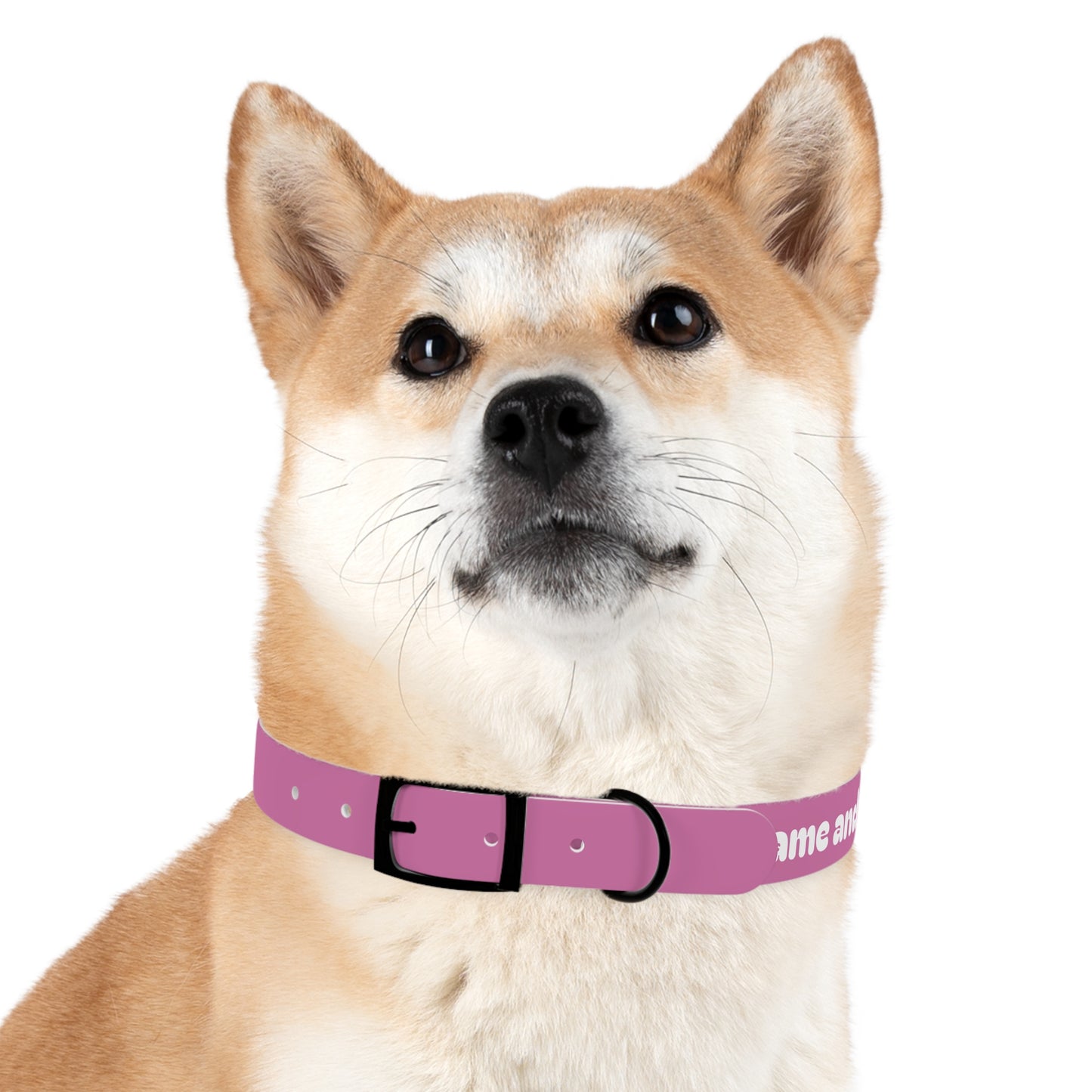 Chic Dog Collar for Stylish Pets, Customizable Pet Accessory, Gift for Dog Lovers, Durable Pink Collar, Fun Pet Fashion