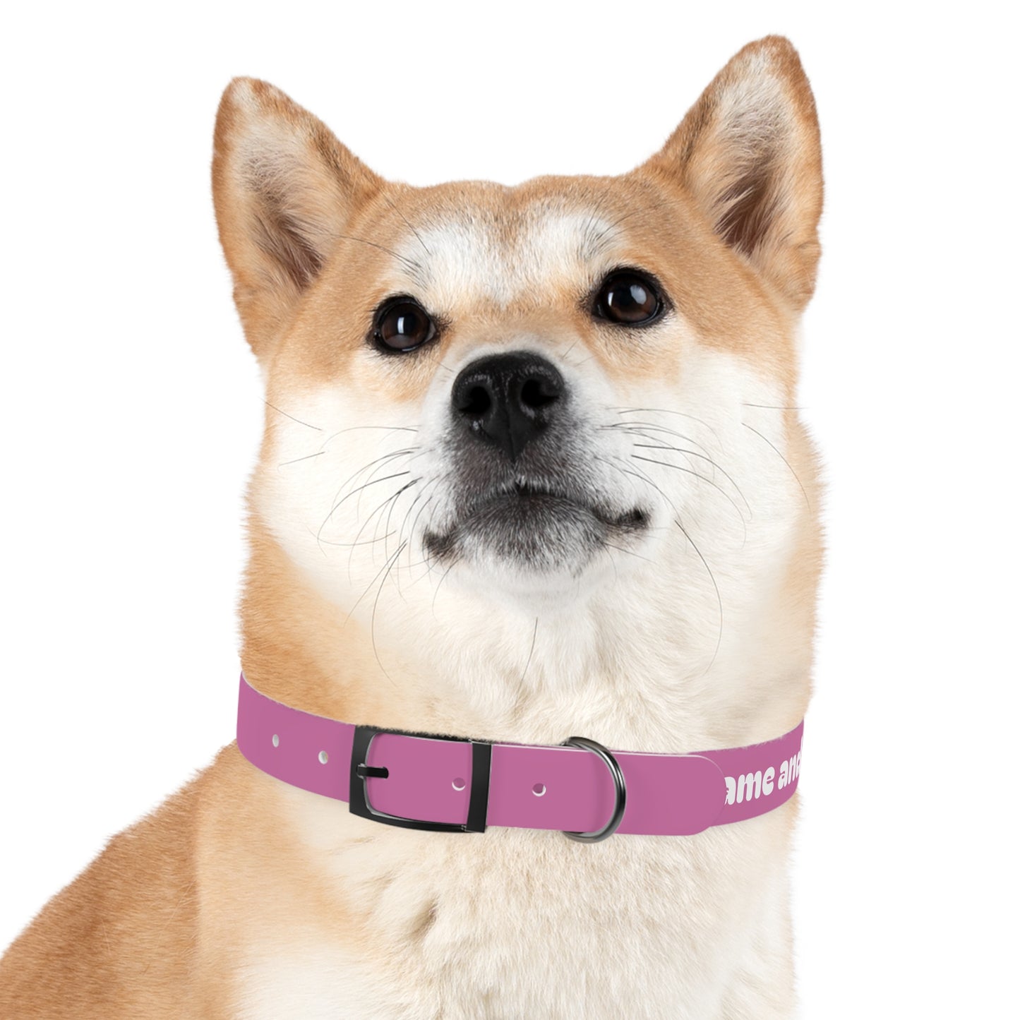 Chic Dog Collar for Stylish Pets, Customizable Pet Accessory, Gift for Dog Lovers, Durable Pink Collar, Fun Pet Fashion