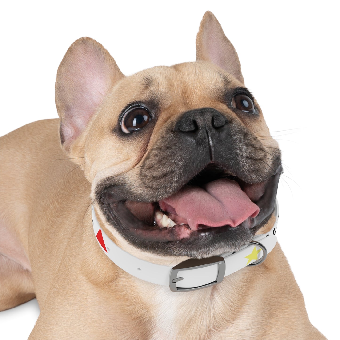 Customizable Dog Collar
