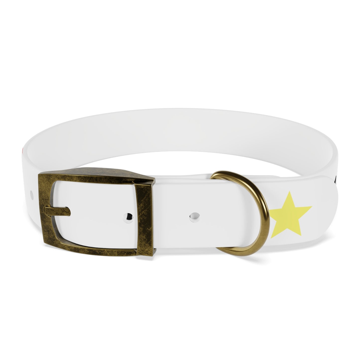 Customizable Dog Collar