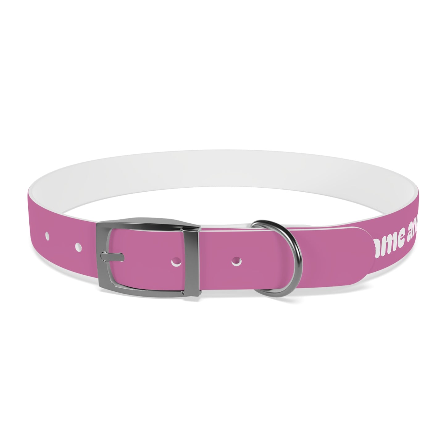 Chic Dog Collar for Stylish Pets, Customizable Pet Accessory, Gift for Dog Lovers, Durable Pink Collar, Fun Pet Fashion