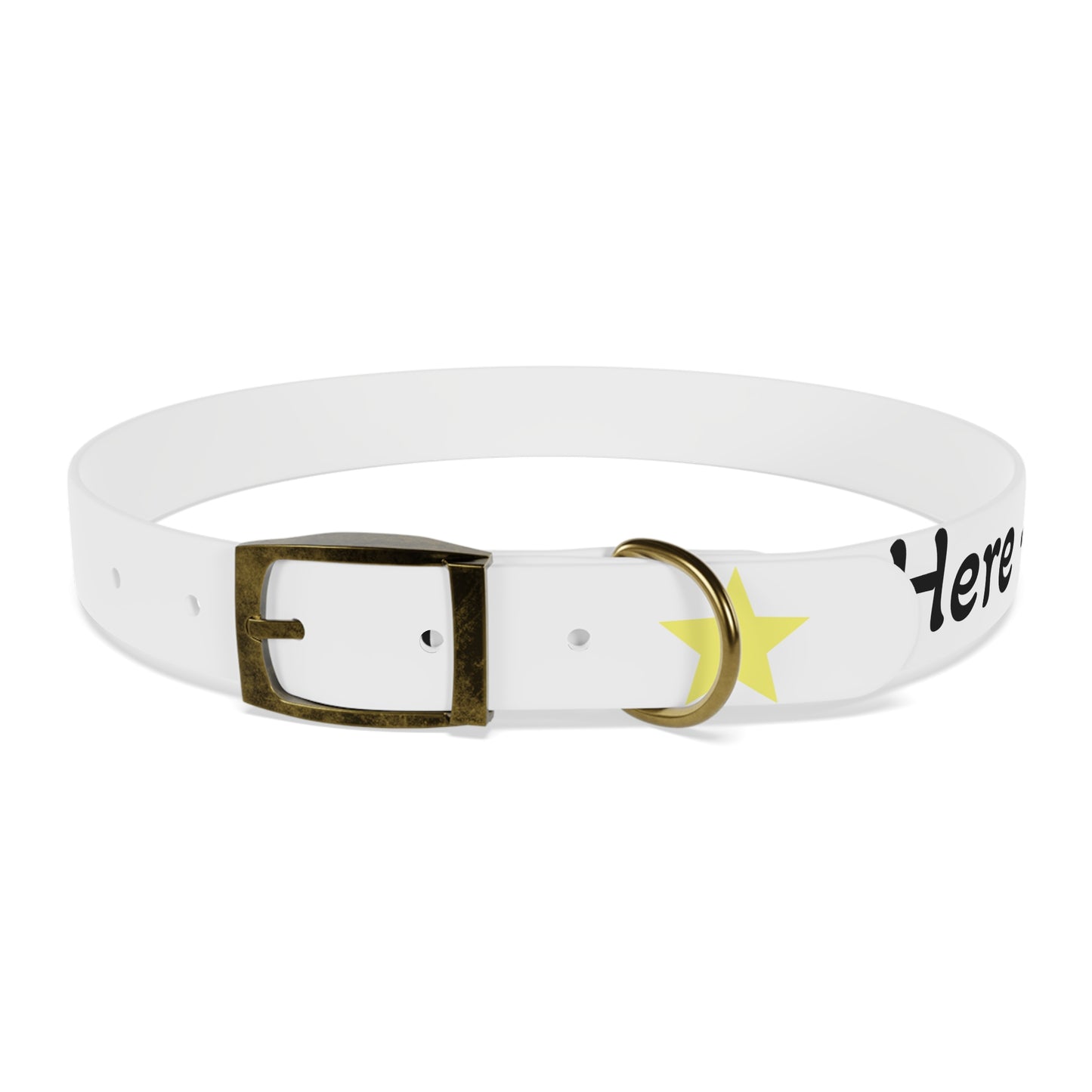 Customizable Dog Collar