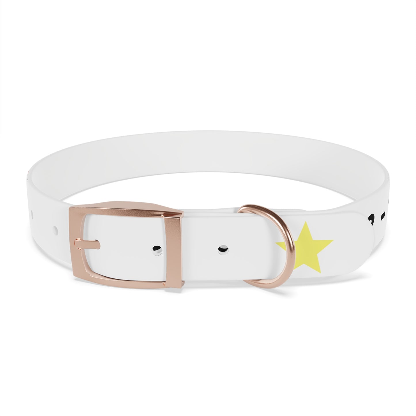 Customizable Dog Collar