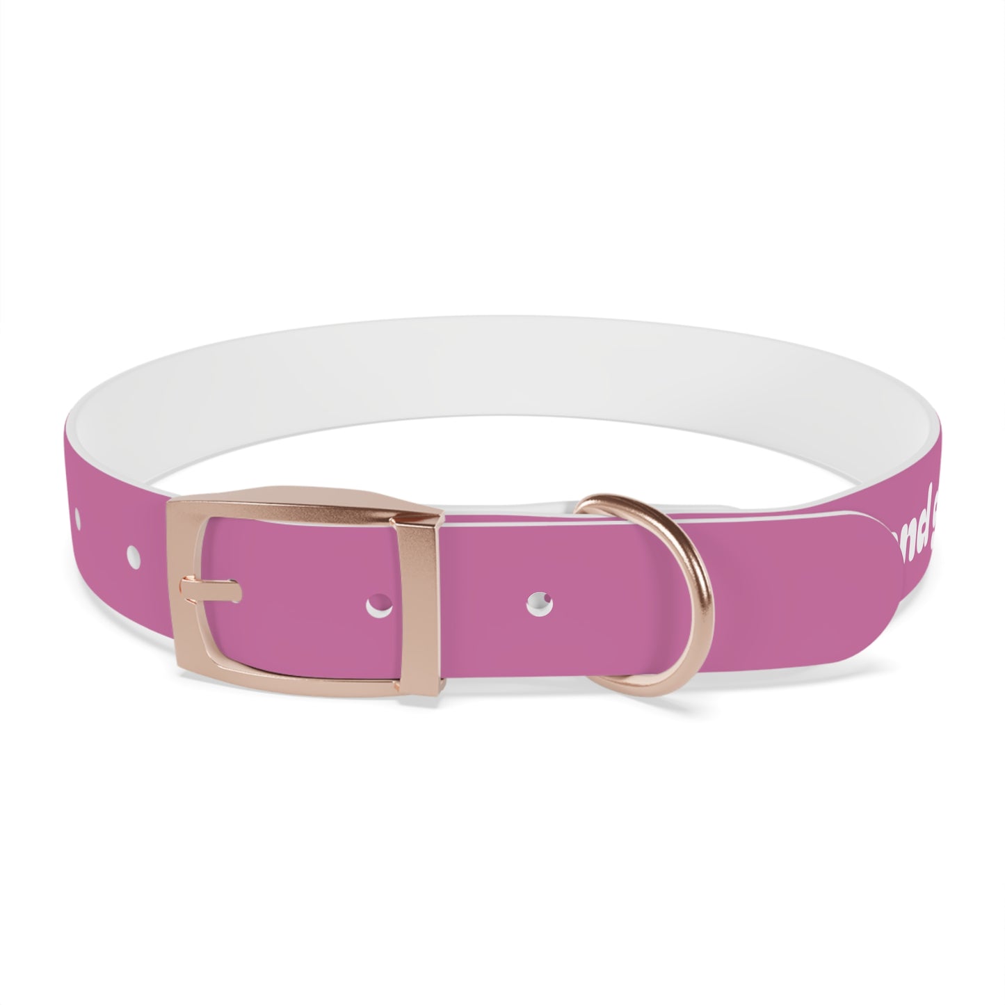 Chic Dog Collar for Stylish Pets, Customizable Pet Accessory, Gift for Dog Lovers, Durable Pink Collar, Fun Pet Fashion