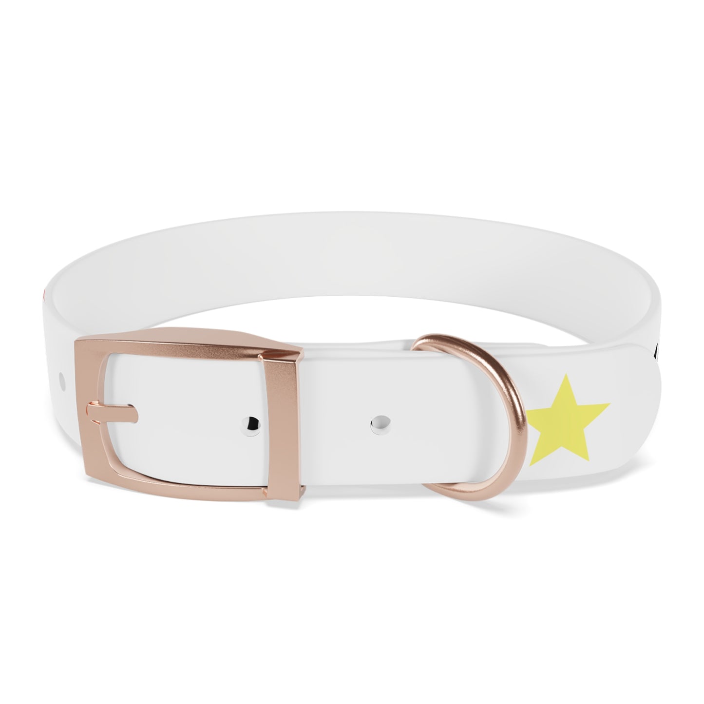 Customizable Dog Collar