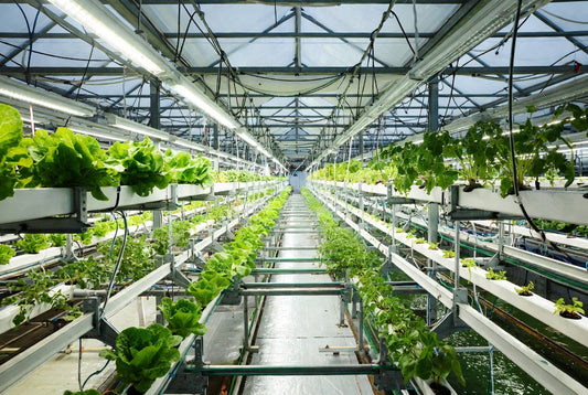 Controlled Environment Agriculture (CEA): The High-Tech Side of Farming – Are You In This Business?
