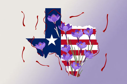 Saffron Farming in Texas: Cultivating the World’s Most Expensive Spice