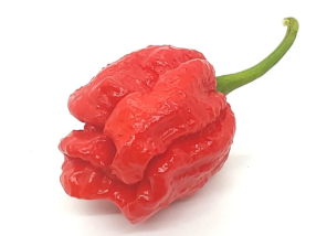 Texas Hot Peppers - TexasHotPepper.com
