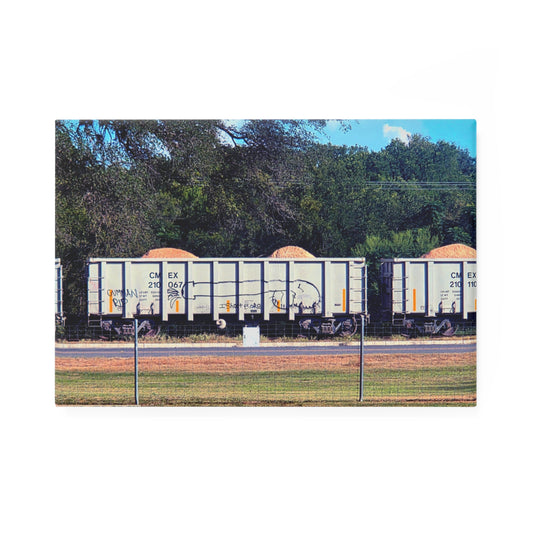View of a Union Pacific train, Gov Abbot's Crony Railroad, from the Dog park in New Braunfels, TX